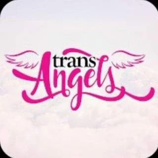 Sex Angels / Ангелы Секса(2004)
